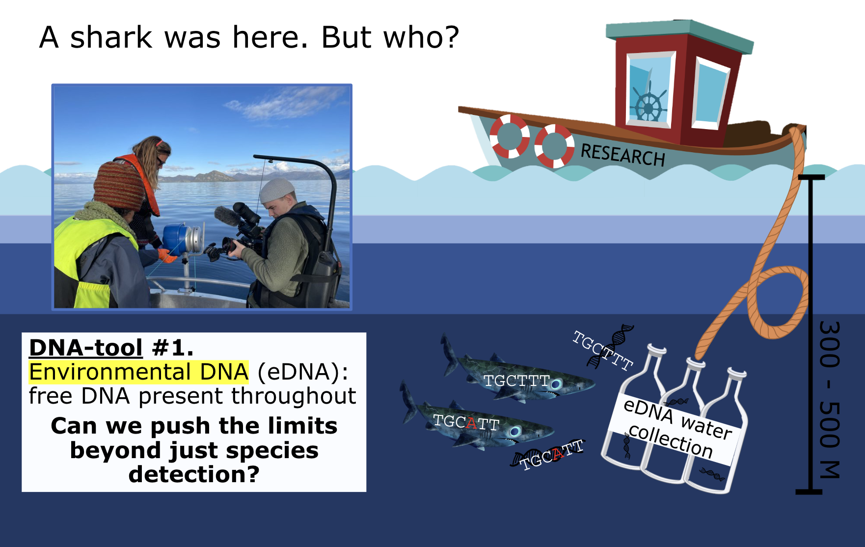 modern-sequencing-reveals-who-s-who-reach-the-world